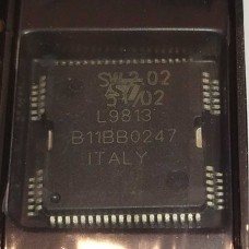 L9813 L9813